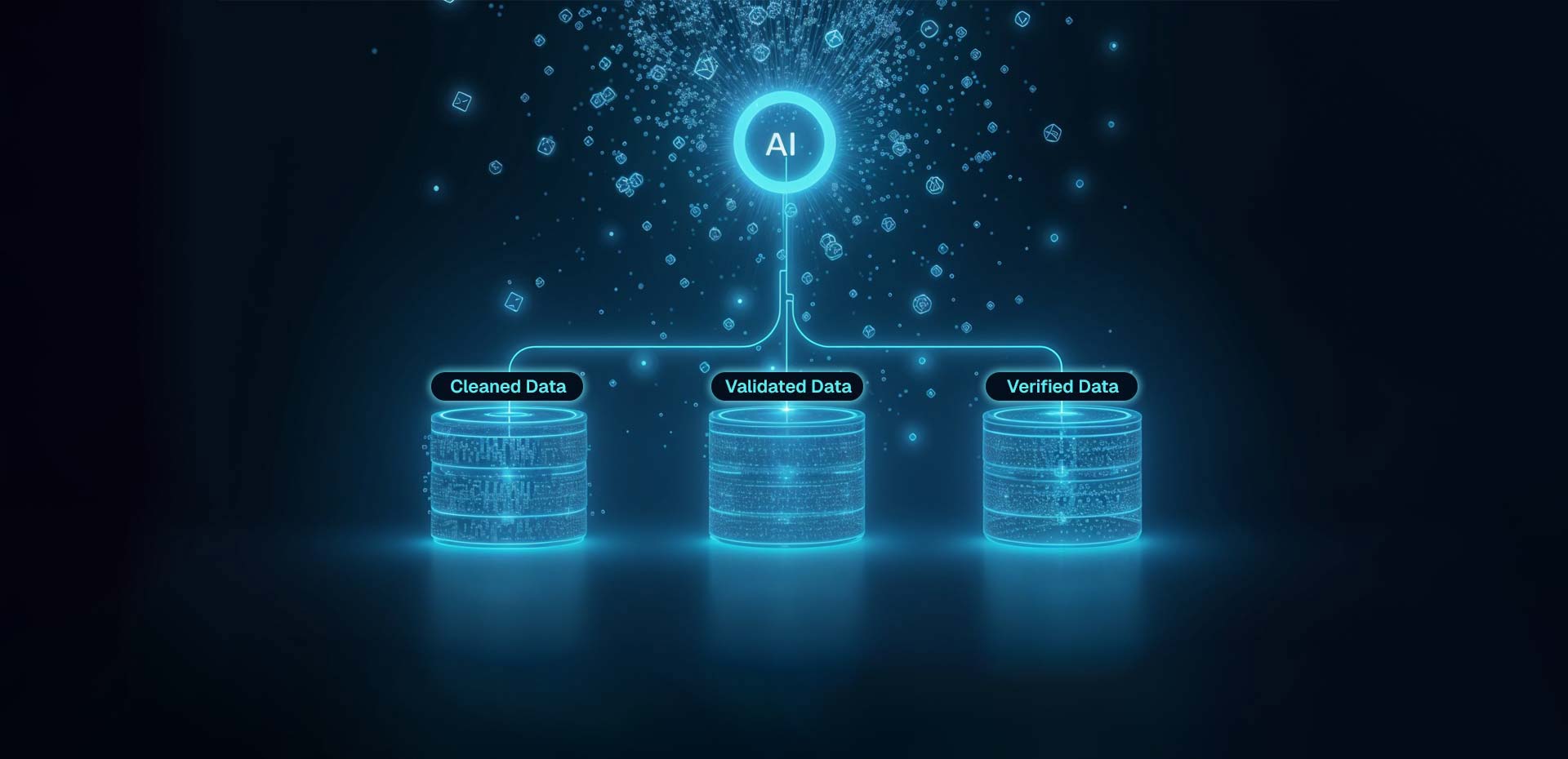 Data Validation and Verification Services