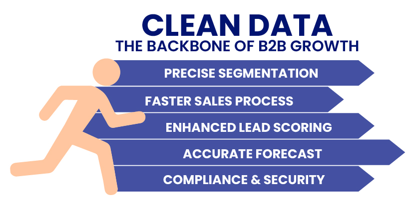 How clean data drives better B2B success