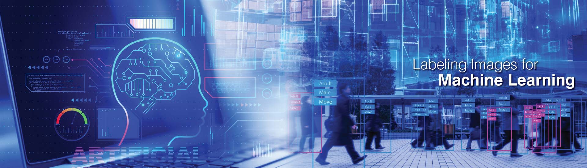 Labeling Images for Machine Learning (ML) – A Complete Guide