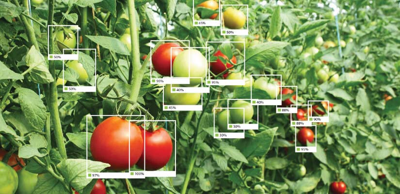 Image annotation use case of agriculture