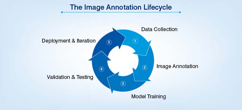 The image annotation lifecycle