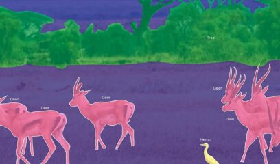 How to Annotate Images for Semantic Segmentation Using Deep Learning