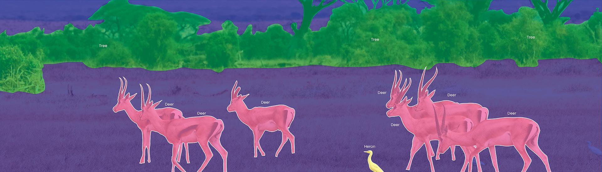 How to Annotate Images for Deep Learning-Powered Semantic Segmentation