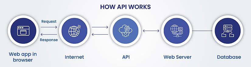 Understanding Social Media APIs
