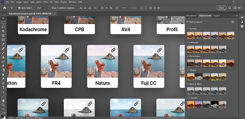 Develop and use custom presets