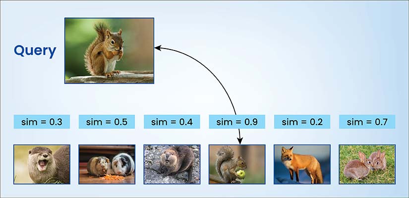 Few-shot and zero-shot learning