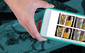 A Walkthrough of Image Annotation for Food Waste Detection