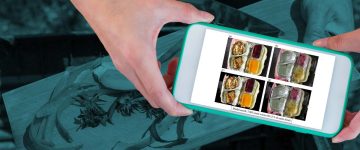 A Walkthrough of Image Annotation for Food Waste Detection