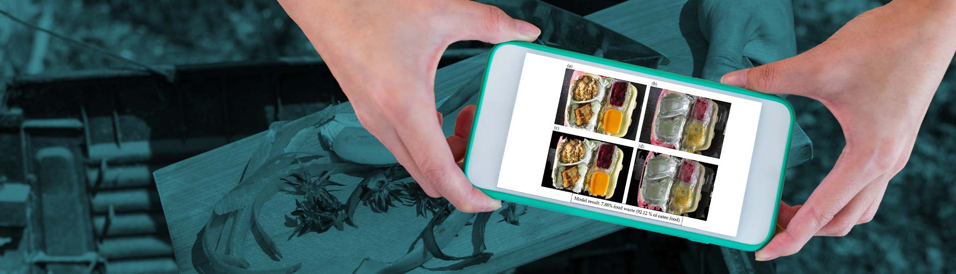 A Walkthrough of Image Annotation for Food Waste Detection