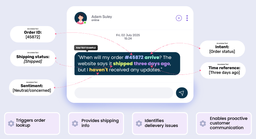 Text Annotation Importance