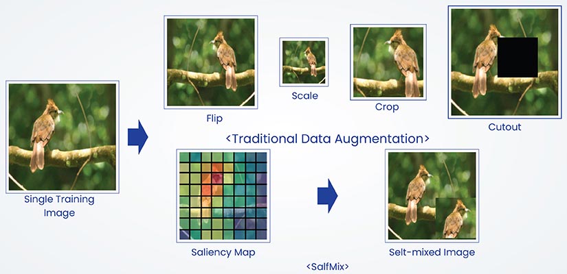 Preparing data for model ingestion
